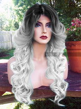 Load image into Gallery viewer, Ombre Silver LACE FRONT Wig